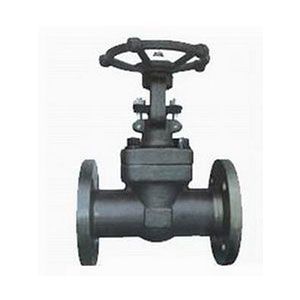 Z41Y型150Lb~600Lb法蘭式鍛鋼閘閥