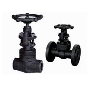 Z11Y~Z41Y法蘭,絲扣鍛鋼閘閥